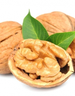 خواص گردو