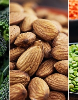 بهترین رژیم غذایی پس از برداشتن کیسه صفرا