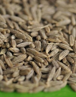 خواص زیره سبز