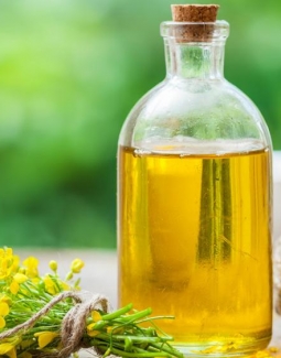 روغن کانولا خوب یا بد