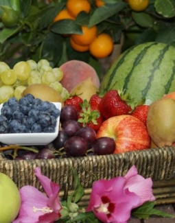 مزایای سلامتی میوه های اصلی