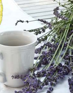 طرز تهیه لیموناد اسطوخودوس