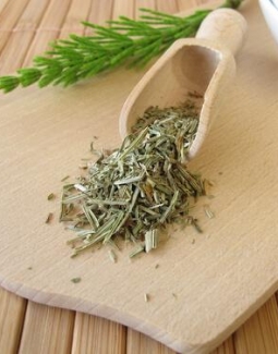 خواص دم اسبی