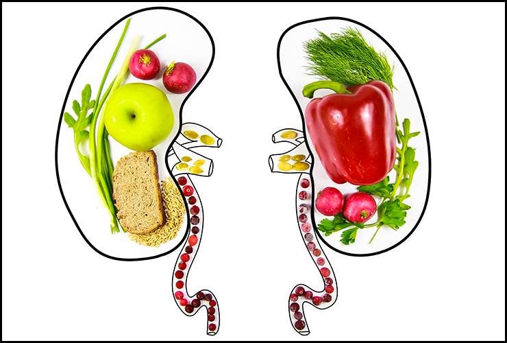  غذای مناسب برای کلیه ها