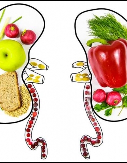  غذای مناسب برای کلیه ها