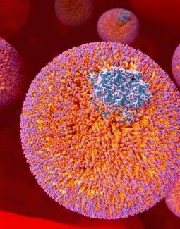 مزایا و خطرات لیپیدها