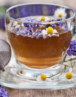 چای های مناسب برای قبل از خواب