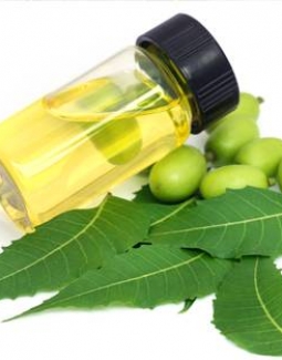 خواص گیاه چریش