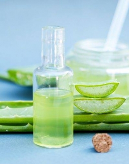 استفاده از آلوئه ورا برای پوست سر خشک