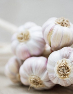 فواید ثابت شده سیر