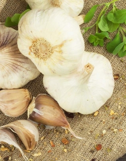 بهترین گیاه و ادویه برای کاهش فشار خون