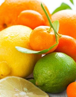 رژیم غذایی برای کاهش وزن