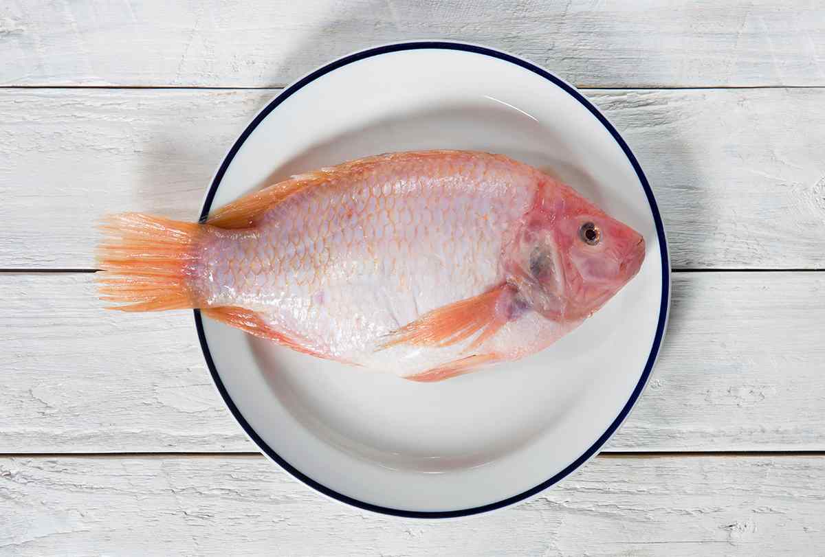 ماهی تیلاپیا برای کاهش وزن