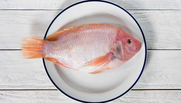 ماهی تیلاپیا برای کاهش وزن