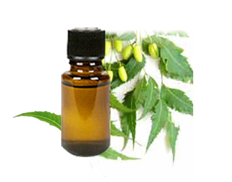 روغن میوه neem