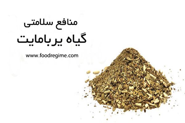 چای یربامایت