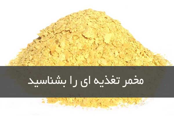 مخمر تغذیه ای