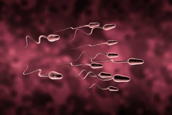 راه های افزایش تعداد اسپرم